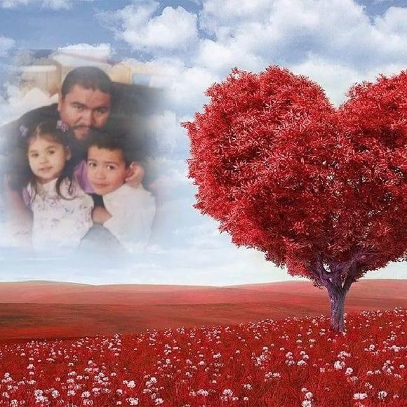 Meet your Posher, Daniel - Picture 1 of 1